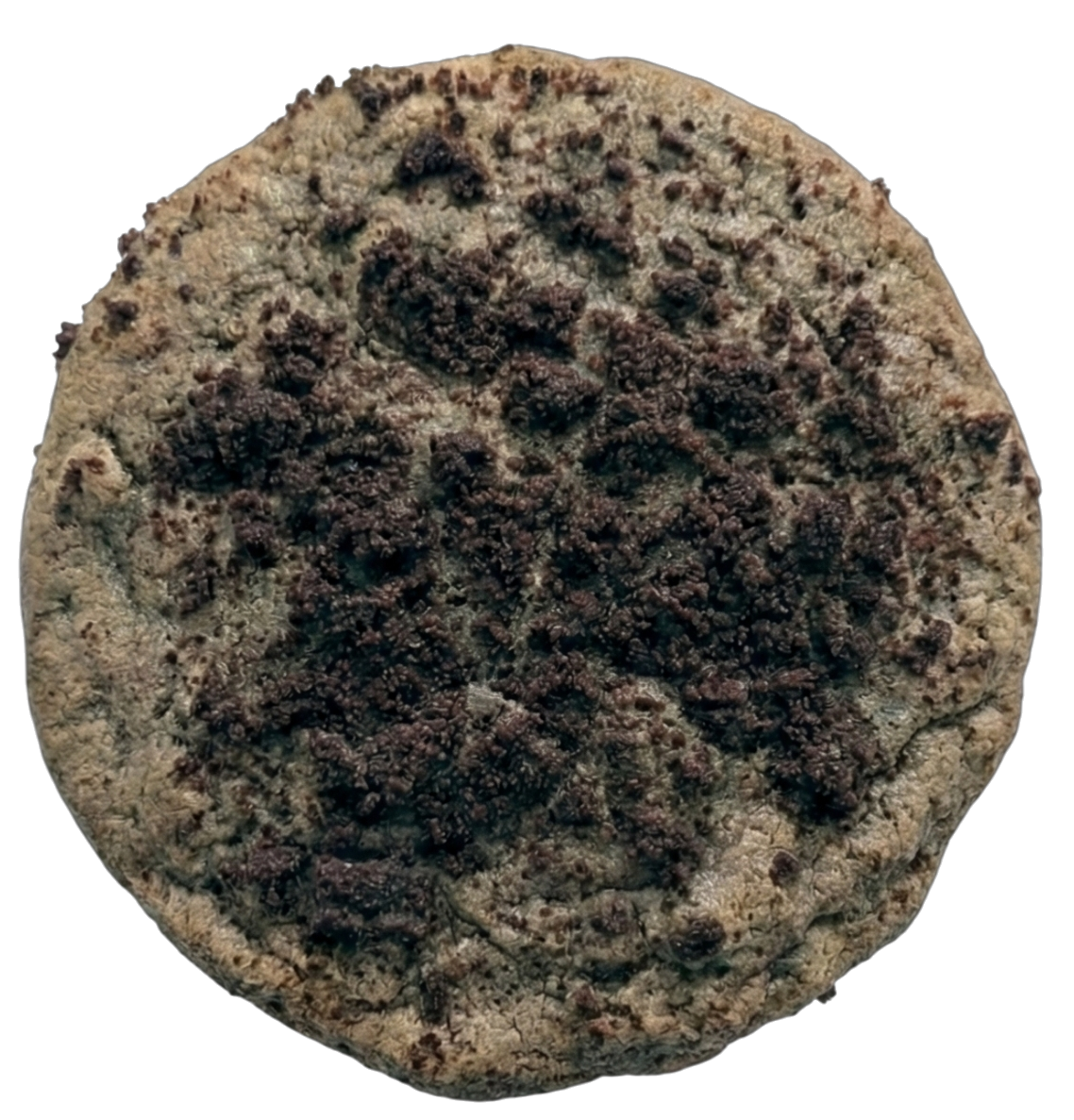 "Midnight Snack" Cookies