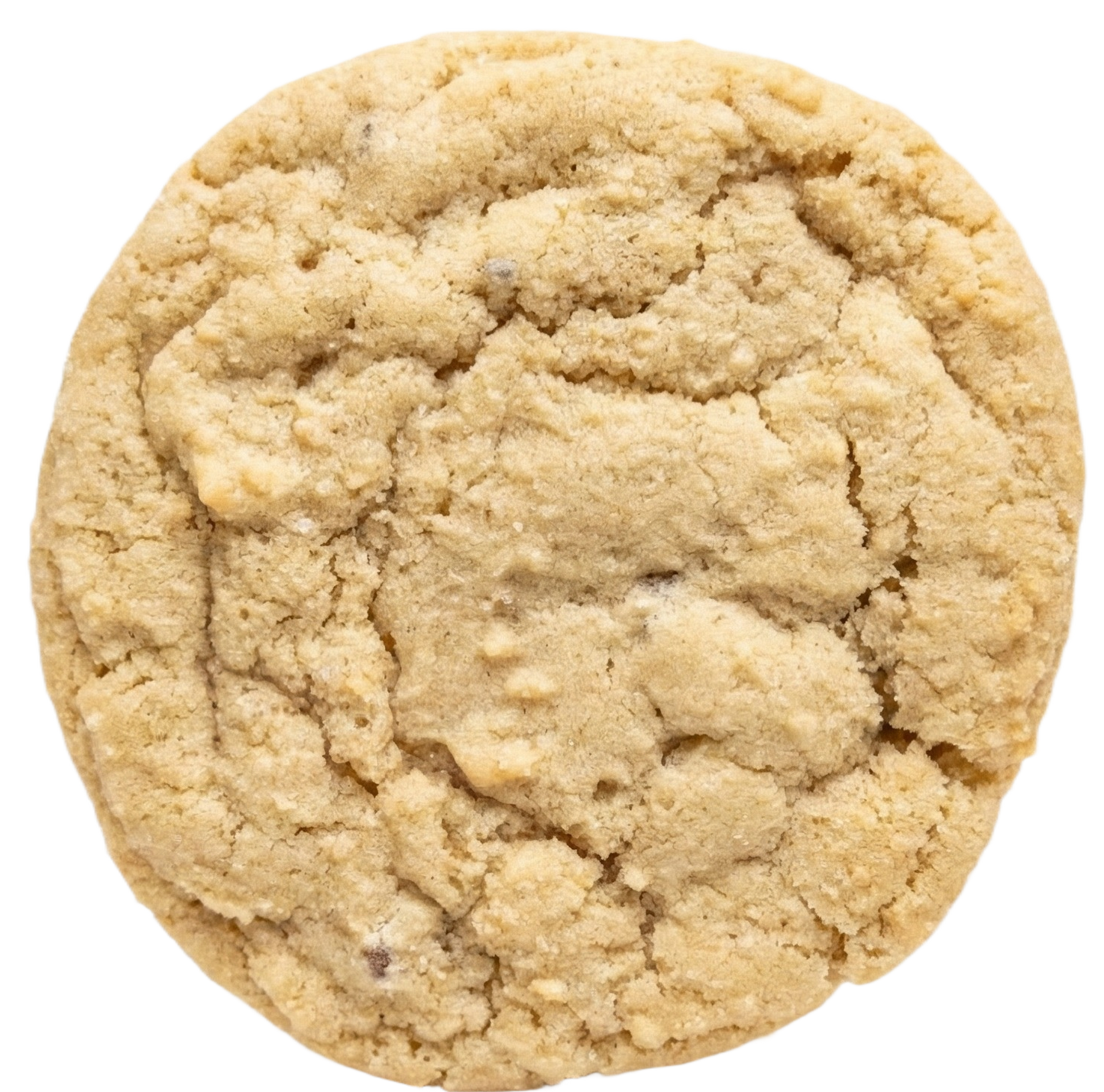 Chewy Chocolate Chip Cookies